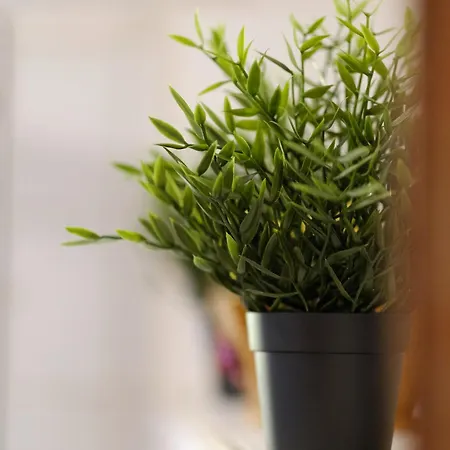 Il Confetto Holiday home Sulmona