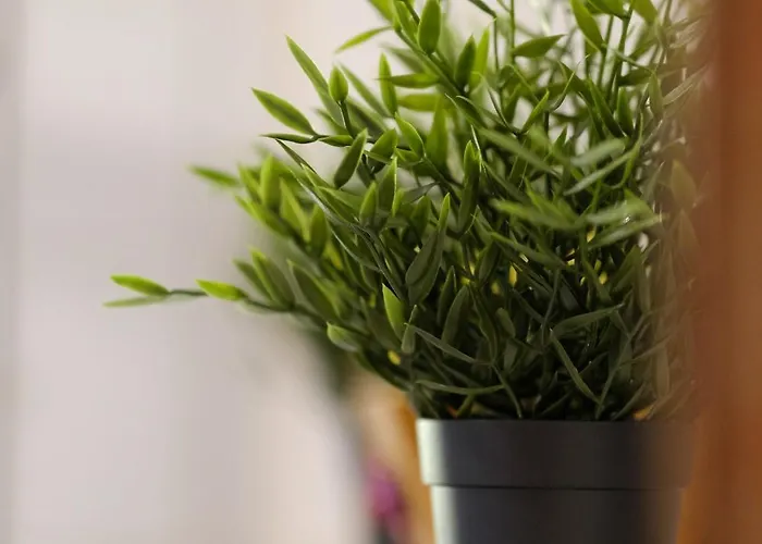 Il Confetto Nyaraló Sulmona